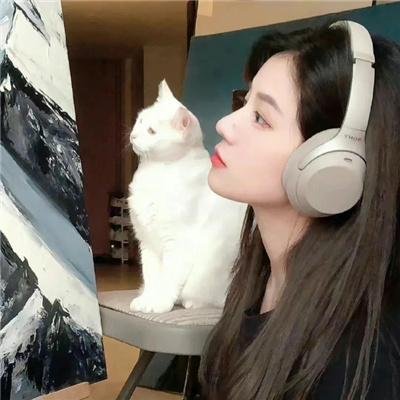 戆星先生