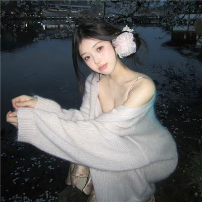 二流太傅